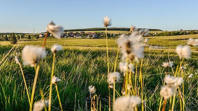 Apartman Krusne Hory - Erzgebirge Horní Blatná Zewnętrze zdjęcie